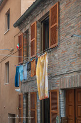 urbino